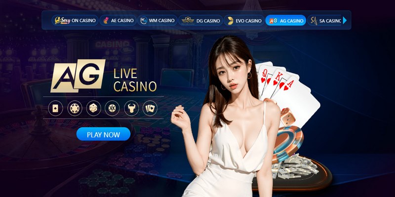 Casino được đông đảo người chơi ưa chuộng và tham gia mỗi ngày